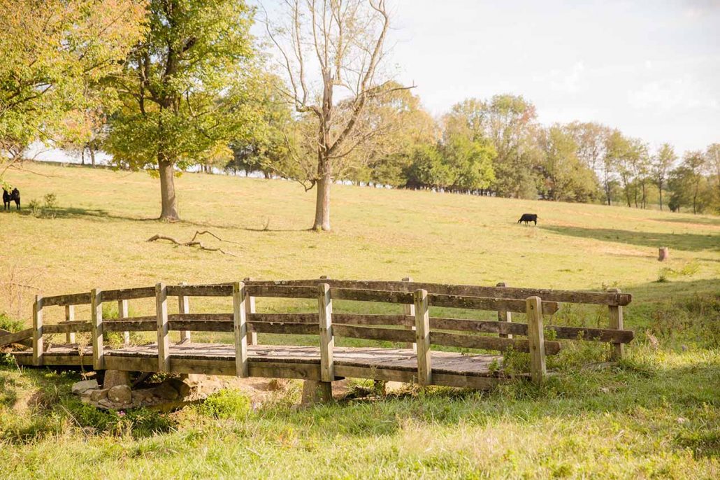 Gallery Frieden Farms